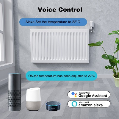 Voice Control