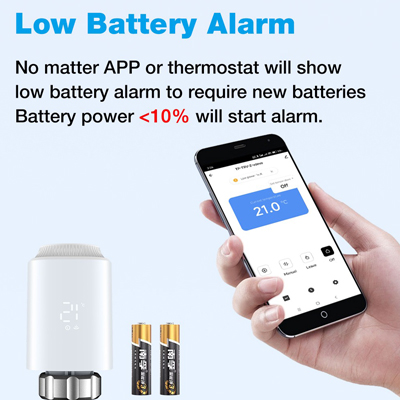 Low Battery Alarm