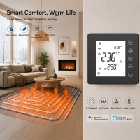 TP201WHPW Smart Room Thermostat for Hydronic Heating
